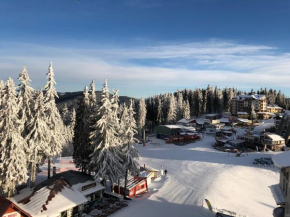 Апартамент в хотел Стената, Пампорово Smolyan
